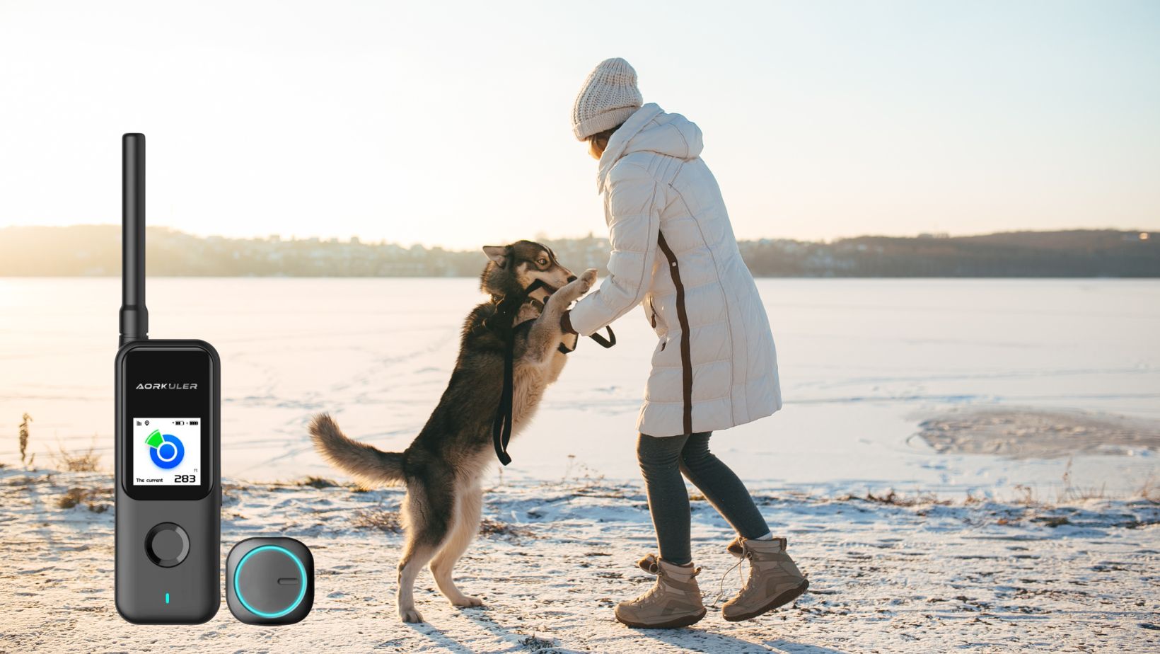 Is It Worth Investing In A Dog GPS Tracker?